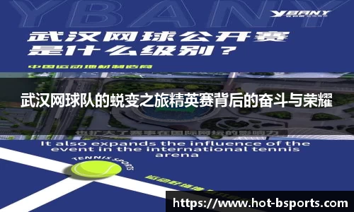 武汉网球队的蜕变之旅精英赛背后的奋斗与荣耀